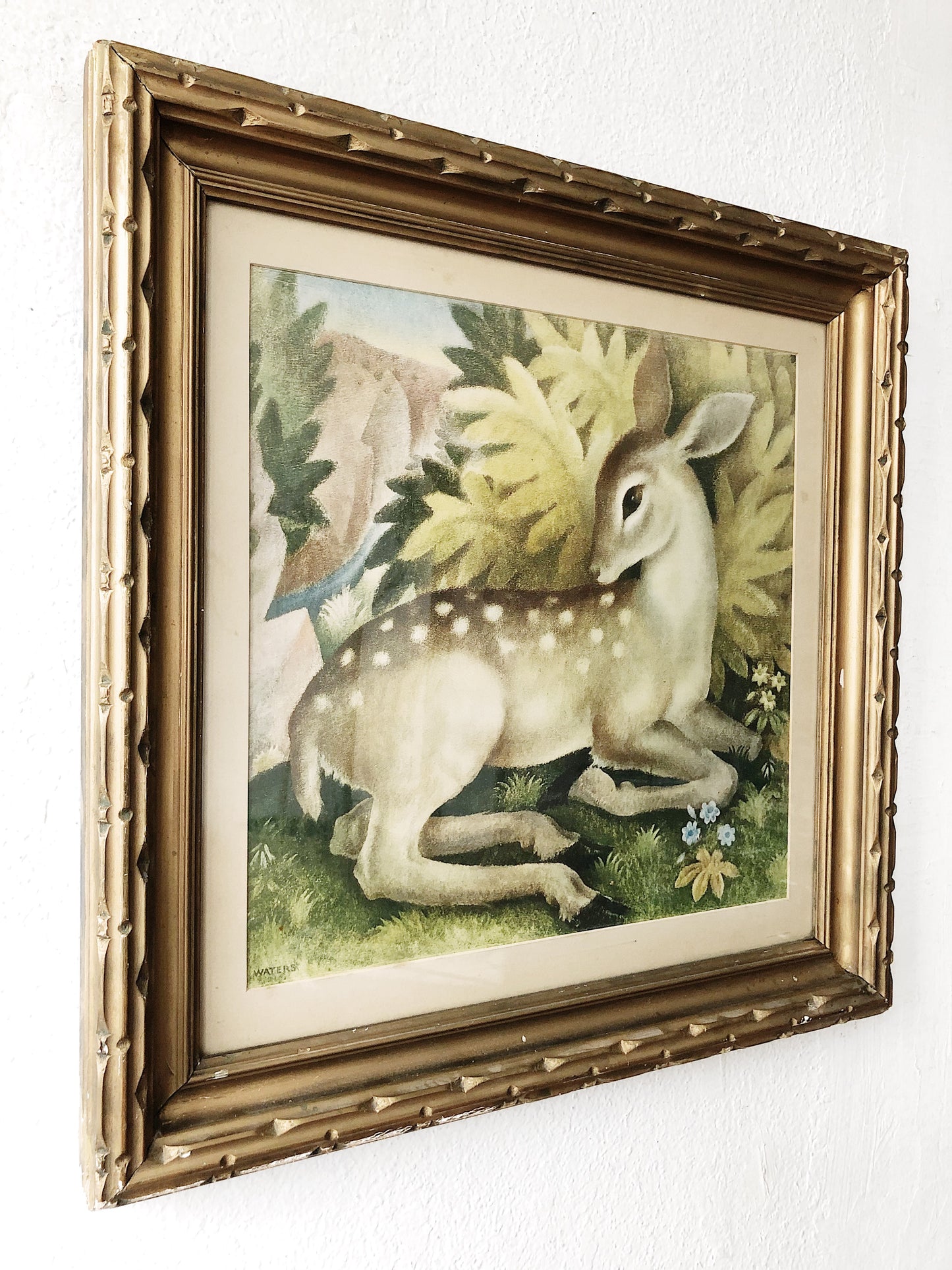 Antique Framed Deer Lithograph