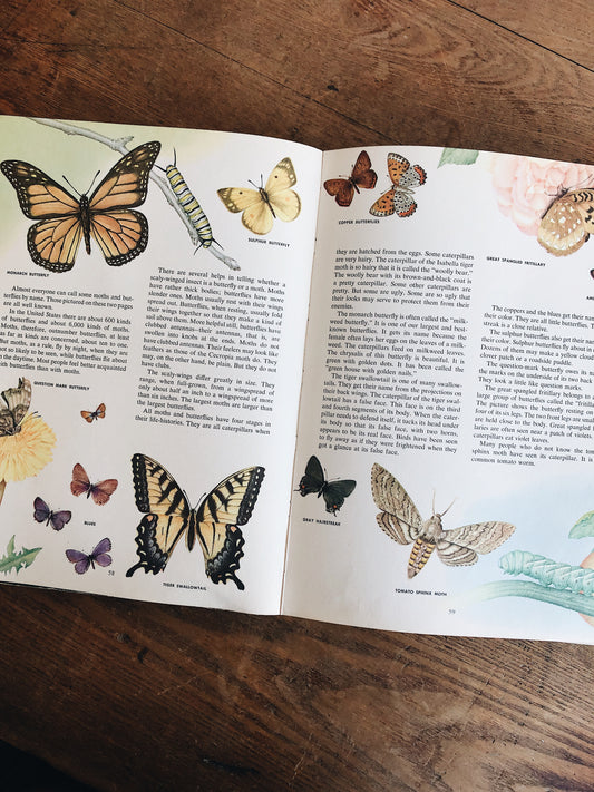 Fantastic Vintage Natural History Treasury