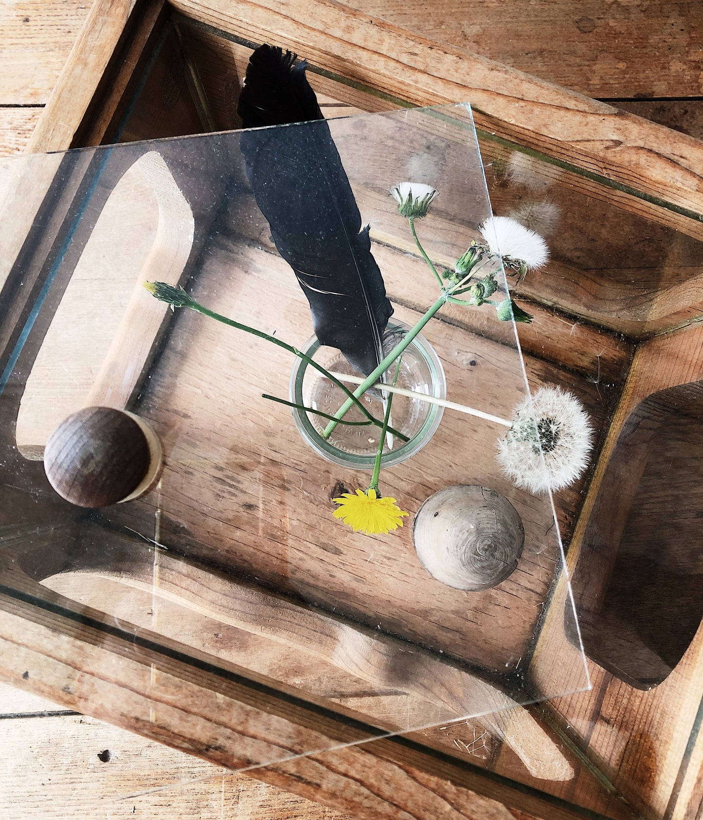 Vintage Wooden Terrarium with Mushroom