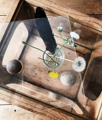Vintage Wooden Terrarium with Mushroom