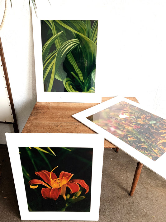 Vintage Enlarged Matted Photo