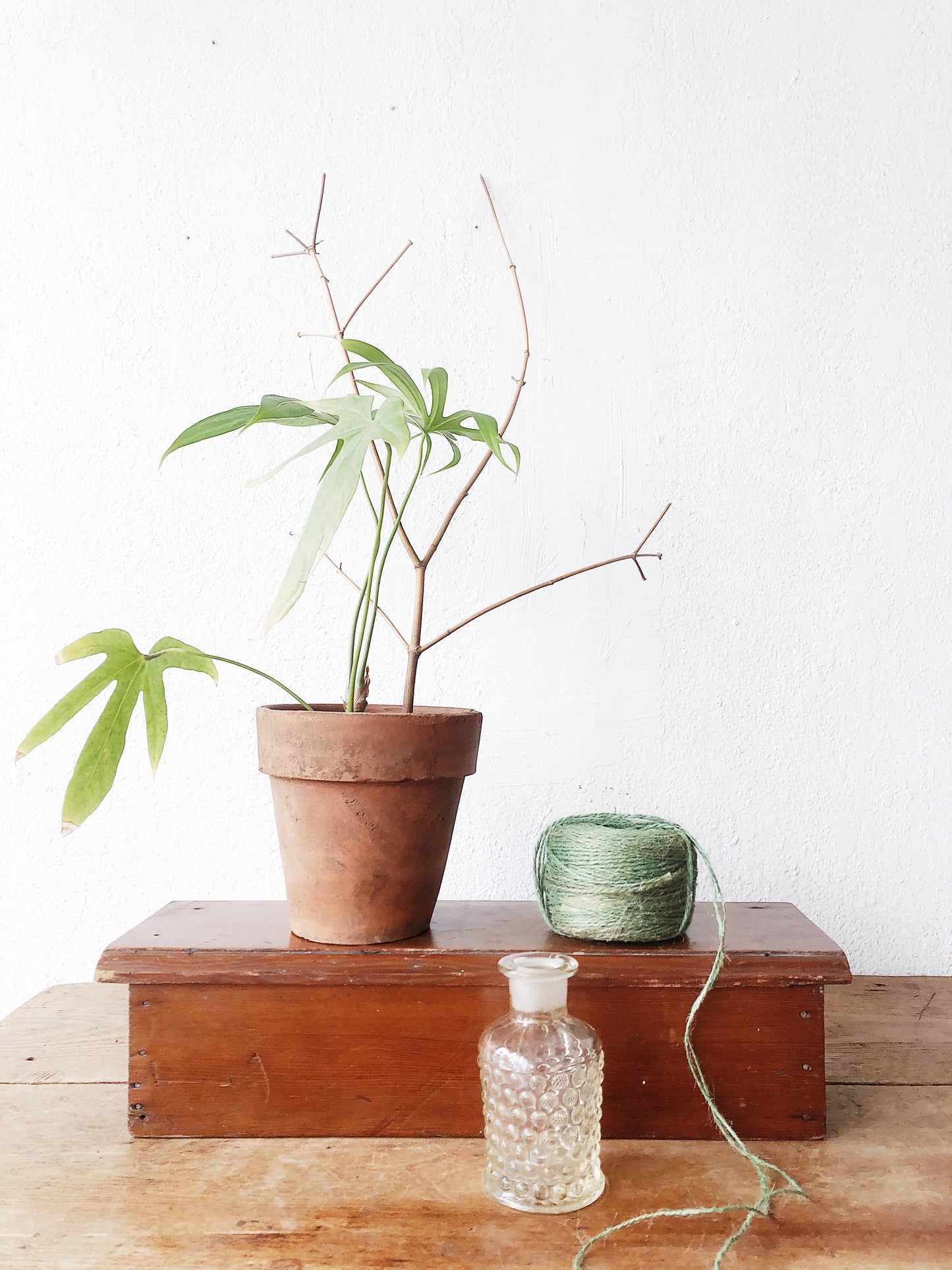 Vintage Wood Display Shelf