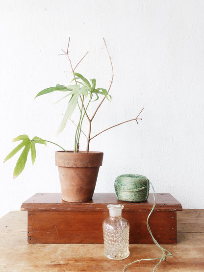 Vintage Wood Display Shelf