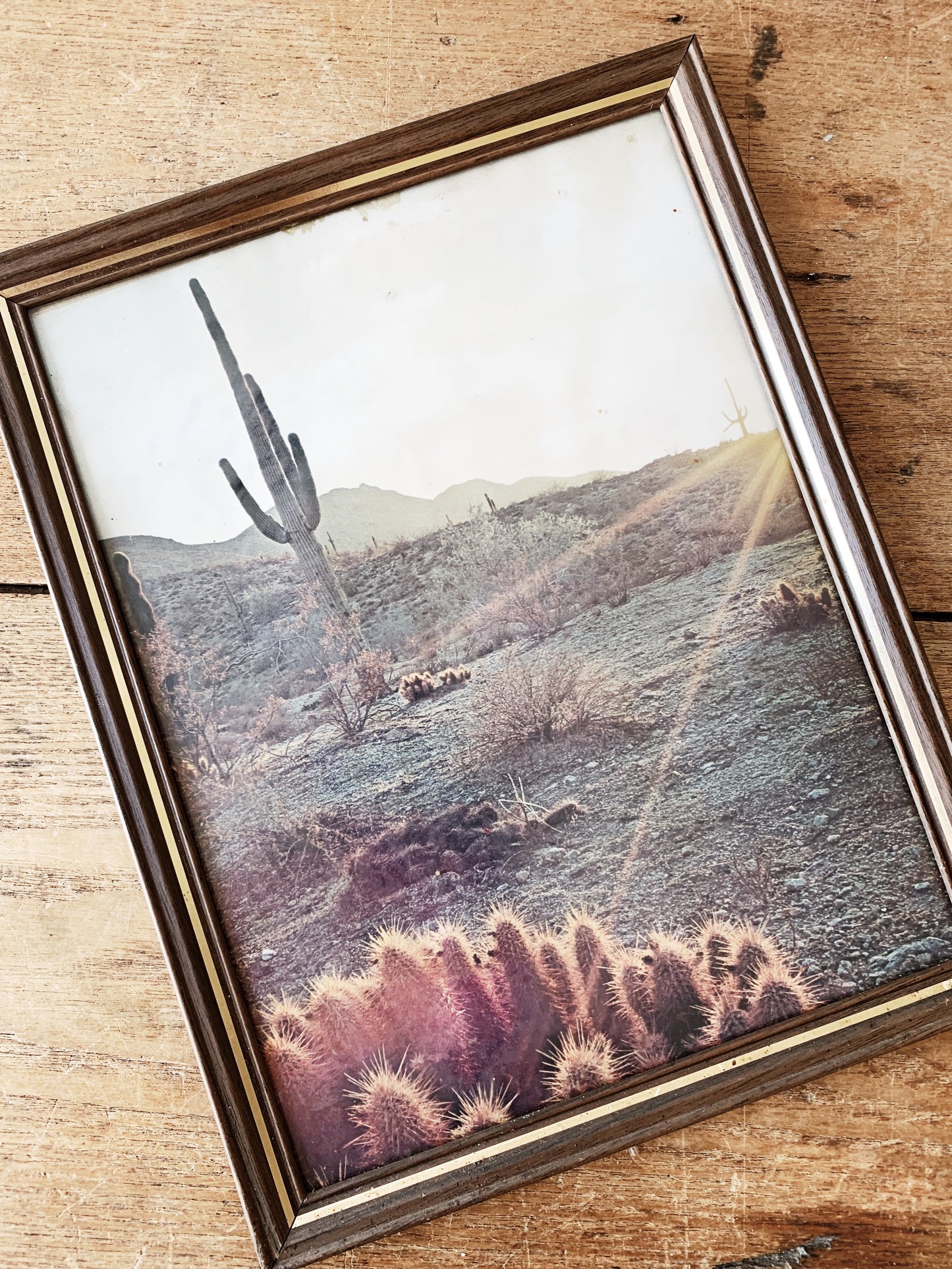 Vintage Framed Desert Print