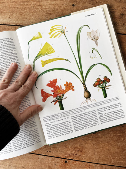Flowering Plants of the World 1977