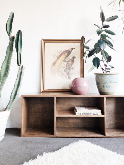 Fab Walnut Low Shelf