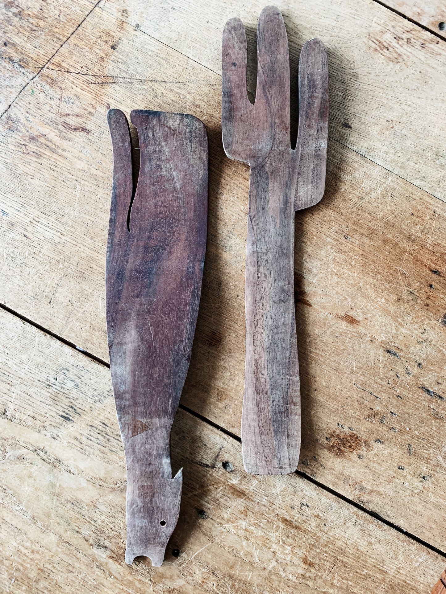 Coyote and Cactus Wood Servers