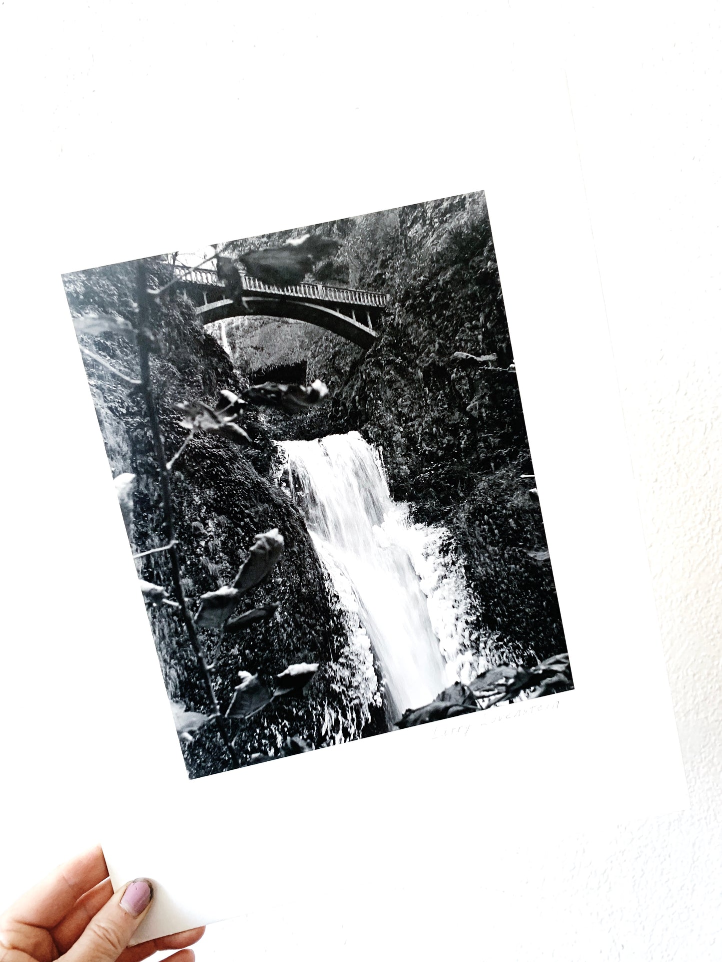 Vintage Mounted Multnomah Falls Film Photo