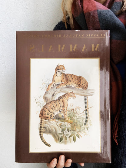 Vintage Classic Natural History Prints Art Book