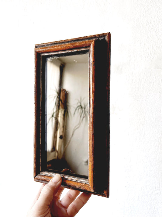 Vintage Polarized Mirror