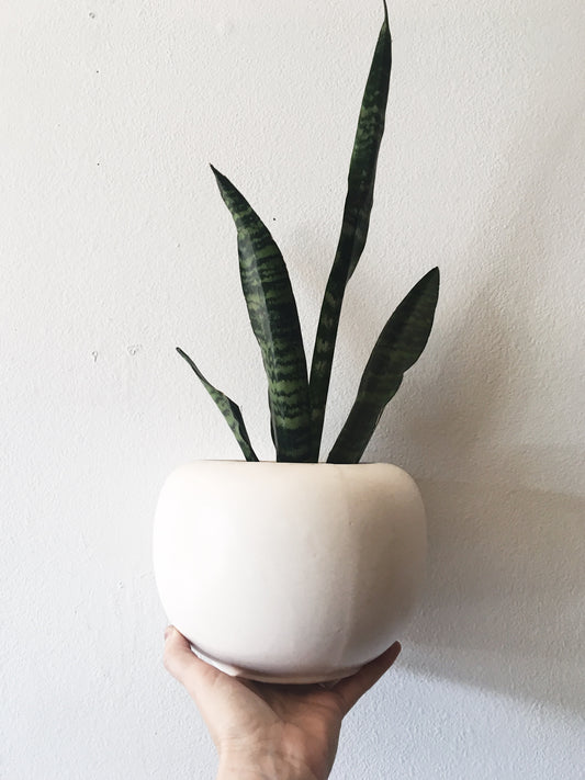 Vintage Floraline Vase