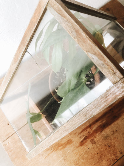 Vintage Geometric Terrarium