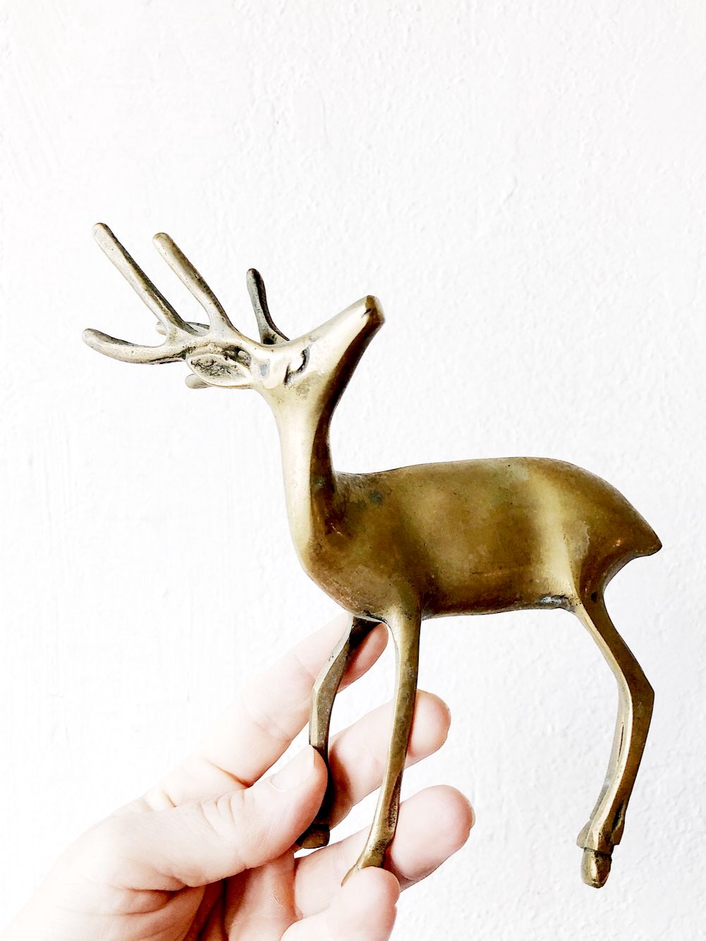 Mid Century Brass Buck
