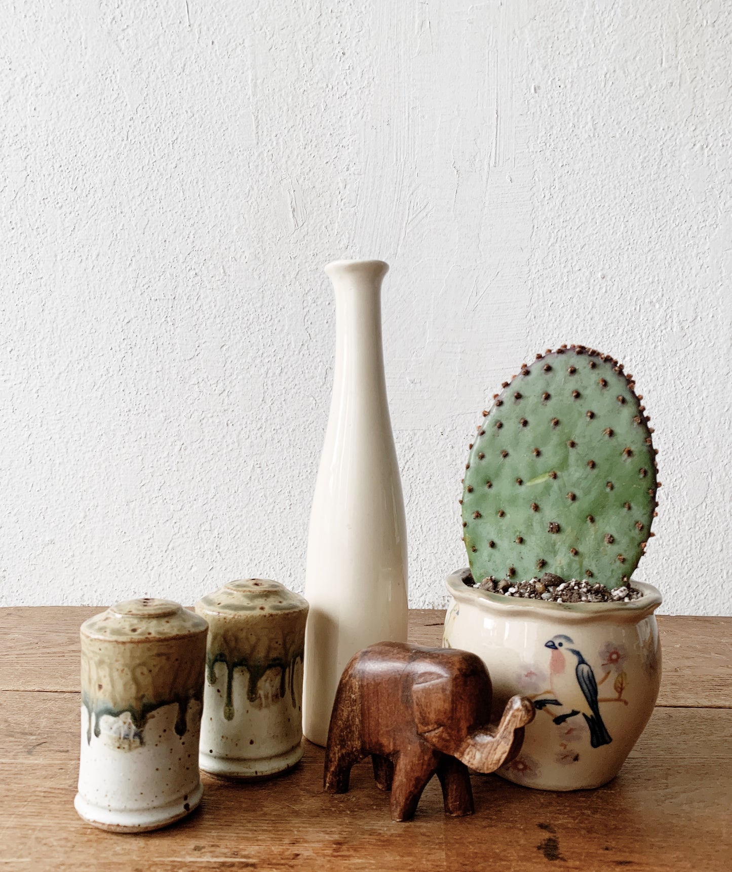 Prickly Pear Paddle Cactus in Vintage Ceramic Pot