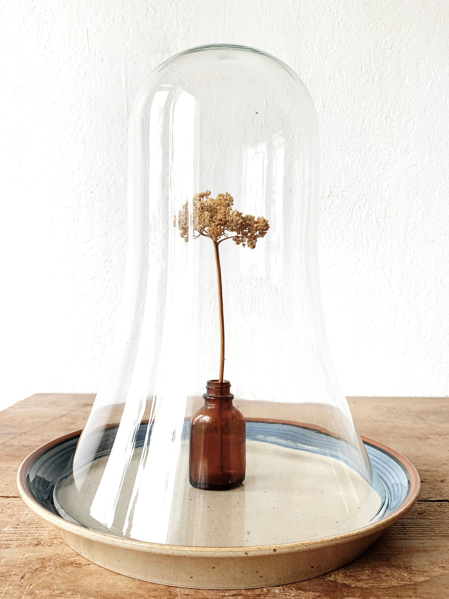 Vintage Glass Cloche with Potters Art Plate