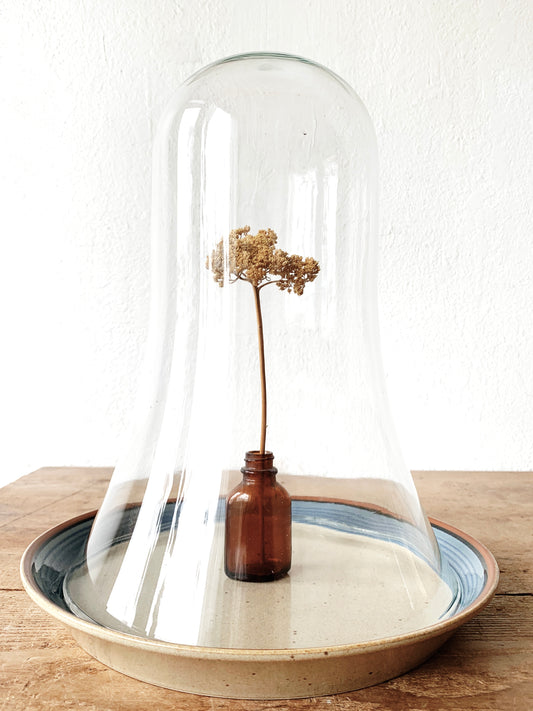 Vintage Glass Cloche with Potters Art Plate