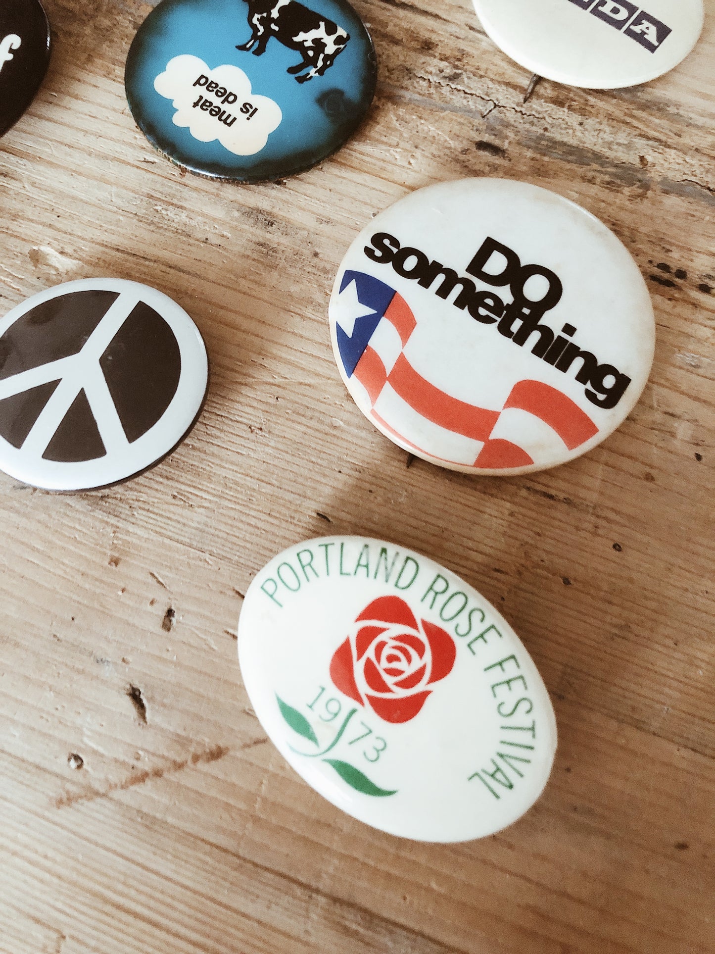Vintage Novelty Pin Back
