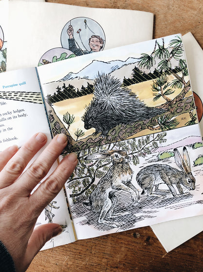 Vintage 1970s Natural History Book Set