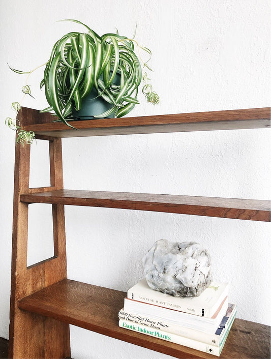 Vintage Oak Bookcase