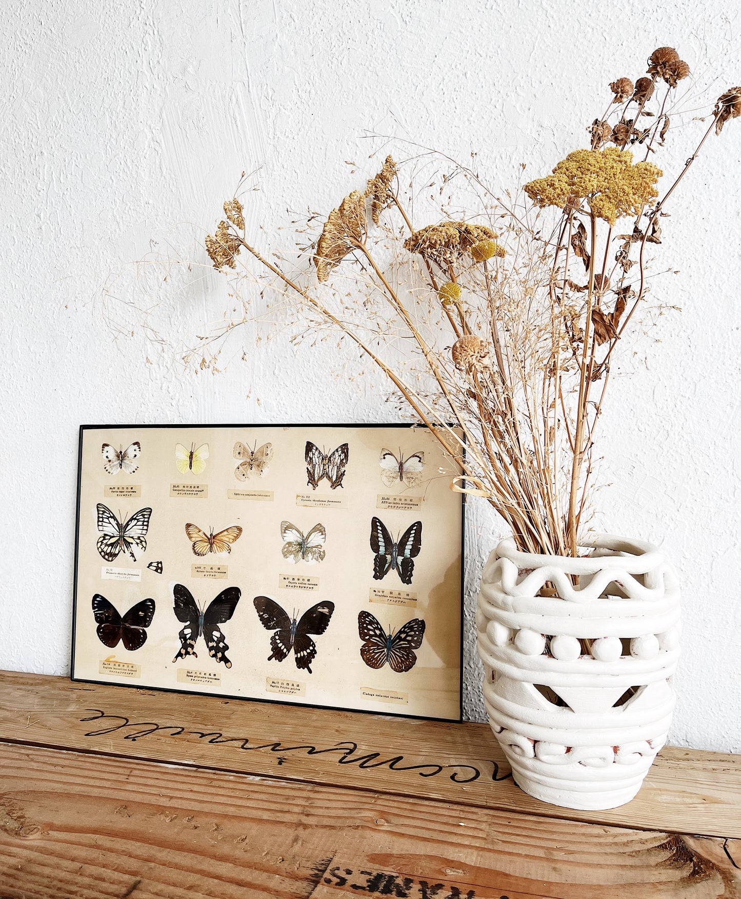 Vintage Specimen Chart