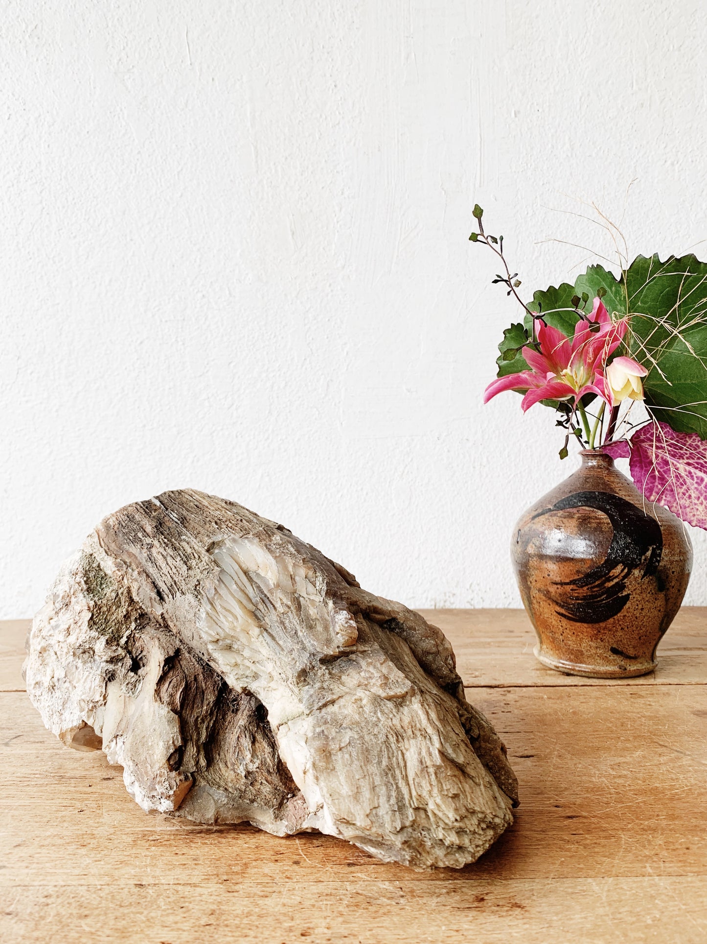 Large Petrified Wood Specimen