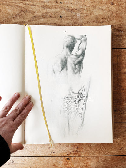 Mid Century Anatomy for the Artist Book