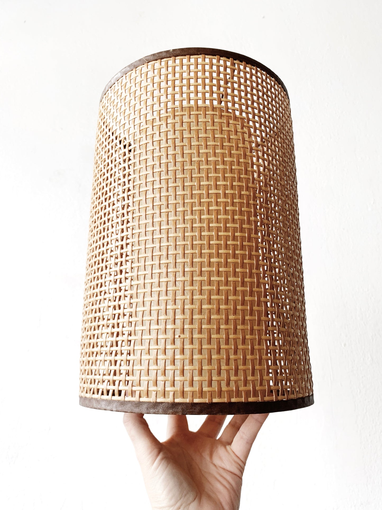 Vintage Double Lamp Shade