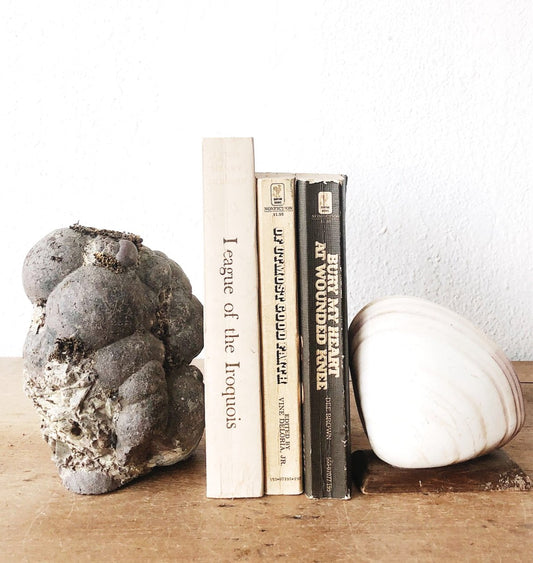 Vintage Shell Bookend