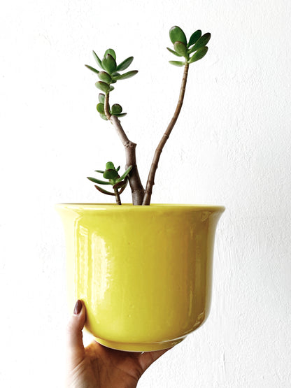 Mid Century USA Ware Ceramic Pot