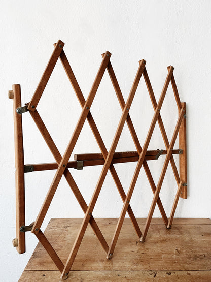 Vintage Accordion Gate