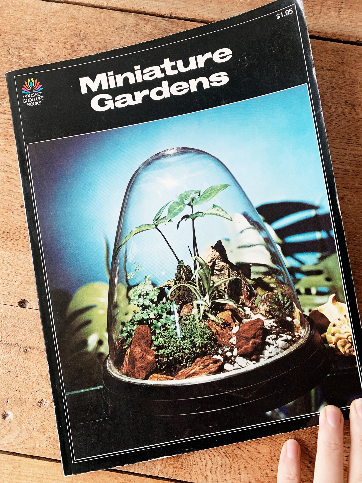 Wood and Glass Terrarium With Vintage Book