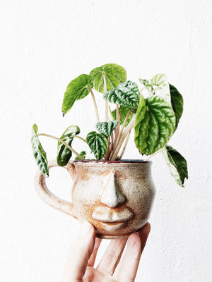 Vintage Mustache Mug with or without Pepperomia Plant