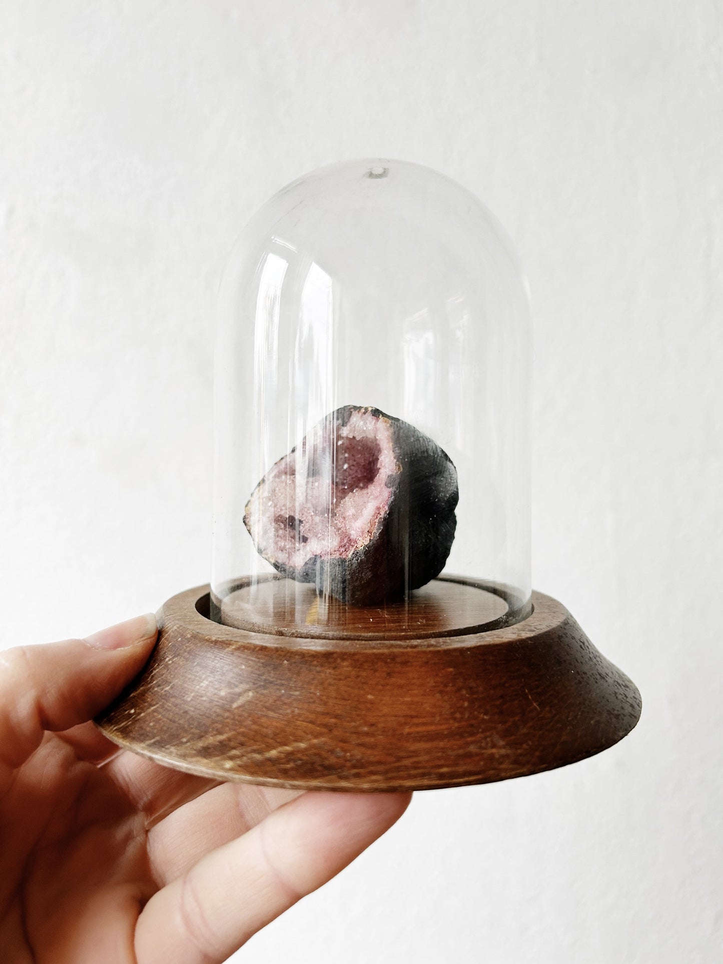 Small Vintage Display Cloche with Stand