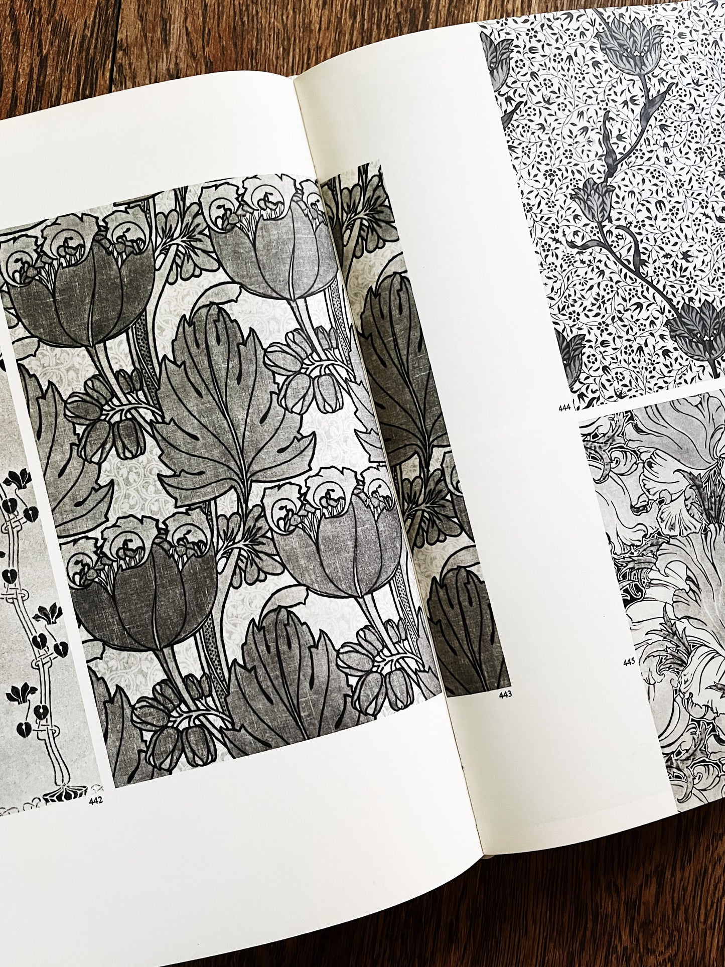 Vintage Flowering of Art Nouveau Book