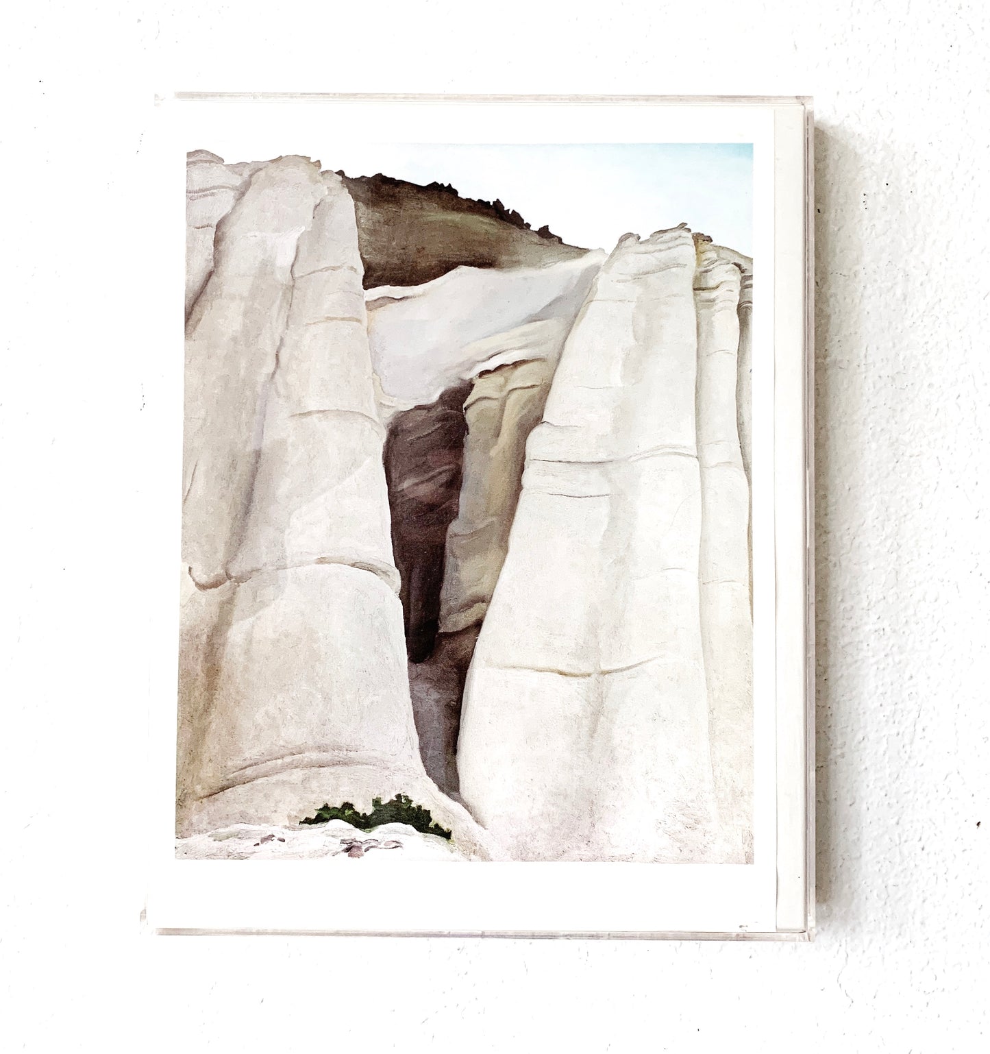 Vintage Georgia O’Keeffe Print