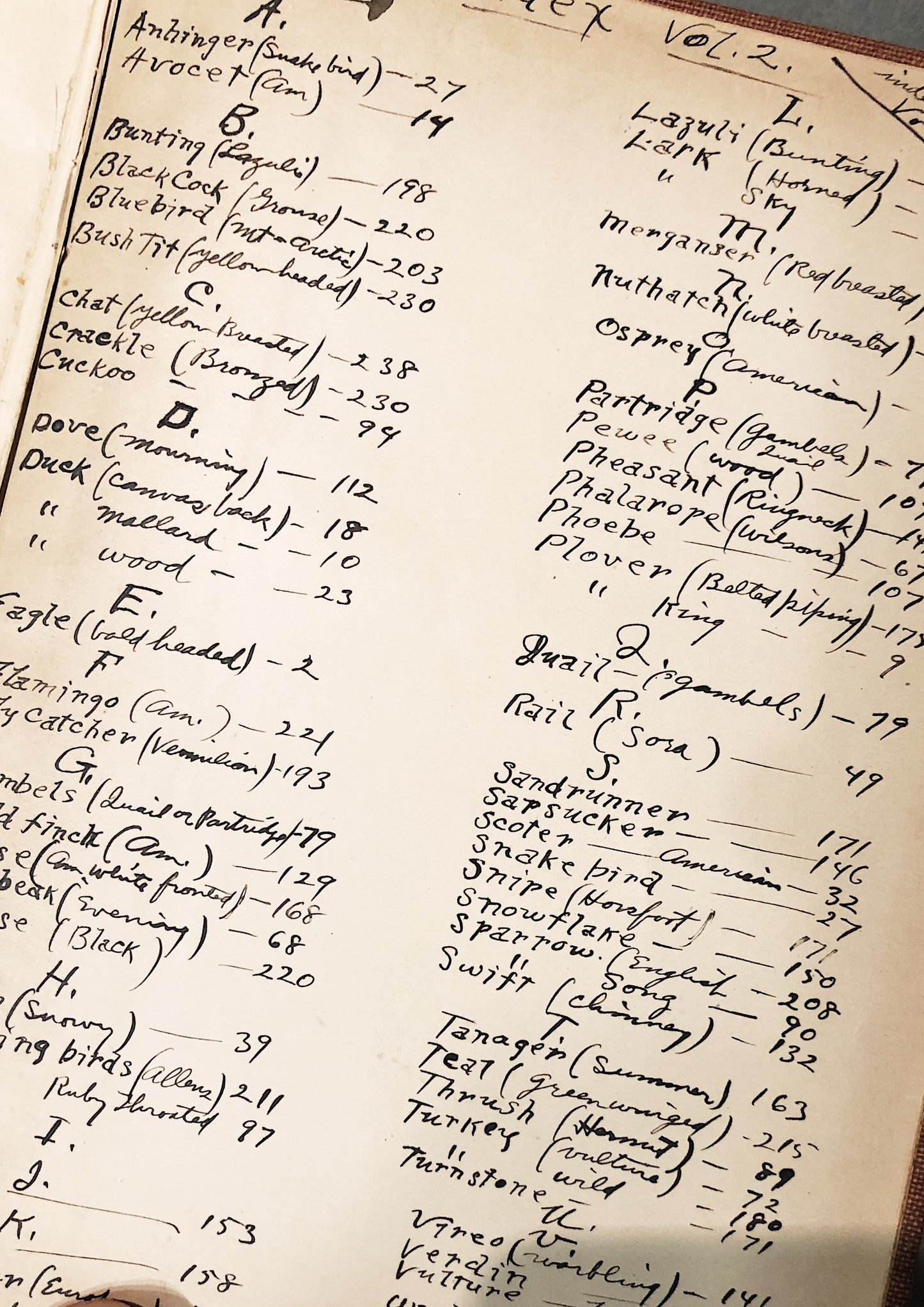 Antique 1800s Birds Book