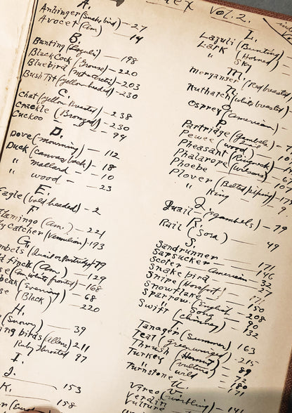 Antique 1800s Birds Book