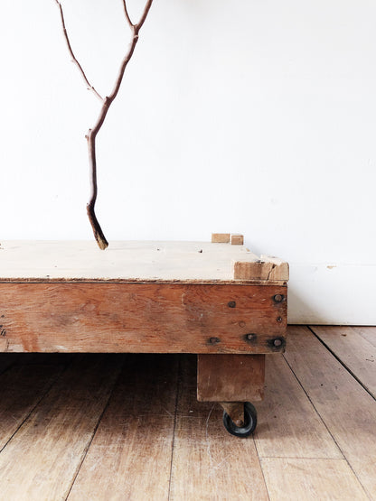 Vintage Industrial Plant Dolly on Casters