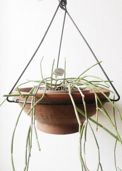 Vintage Iron Plant Hanger