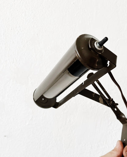 Mid Century Eagle Wall Lamp