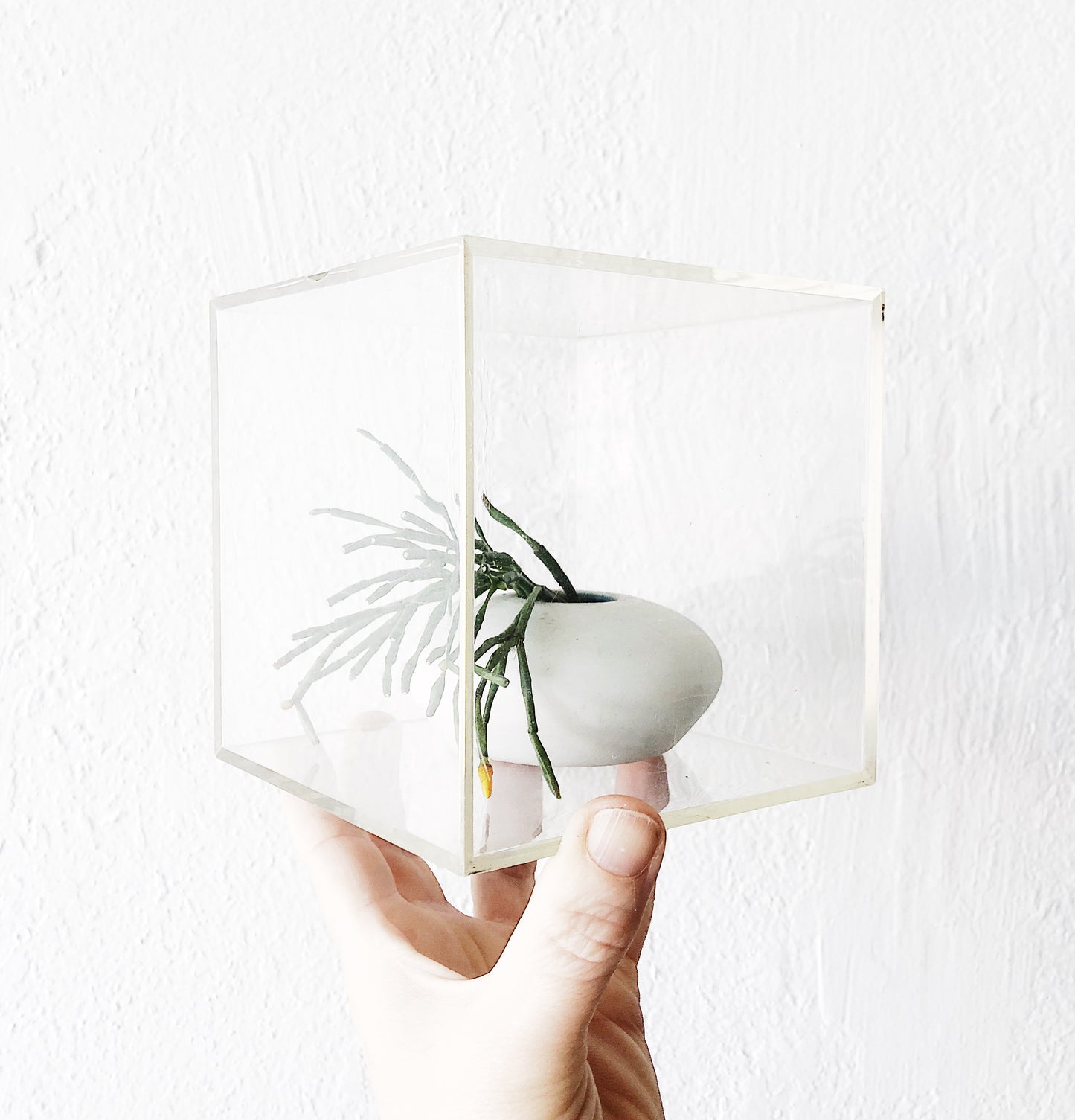 Vintage Lucite Photo Cube