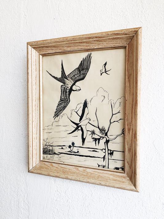Vintage Birds Pen and Ink