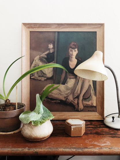 Platycerium in Vintage Wood Planter