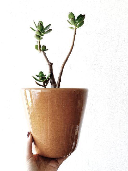 Mid Century Glazed Plant Pot with Drainage