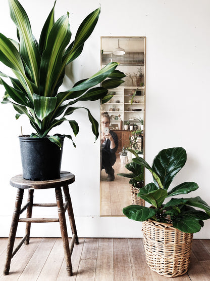 Vintage Full Length Brass Mirror