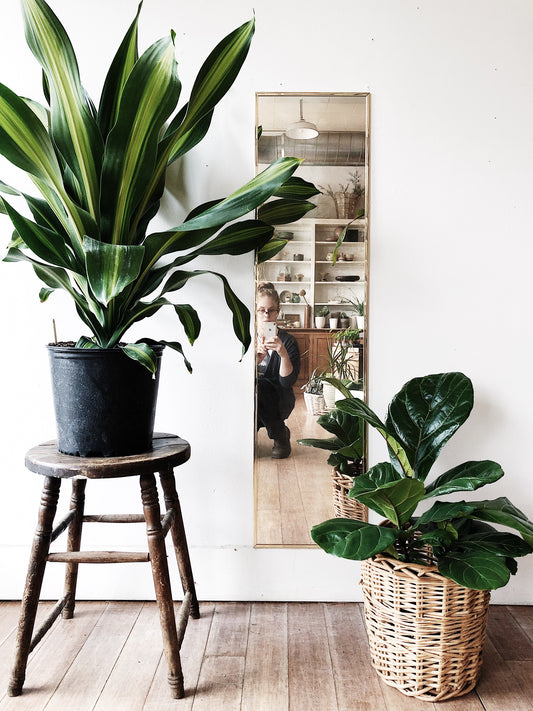 Vintage Full Length Brass Mirror