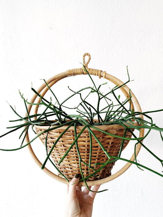 Vintage Bamboo Framed Hanging Basket