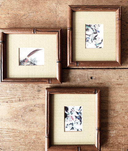 Vintage Framed Art Print Trio