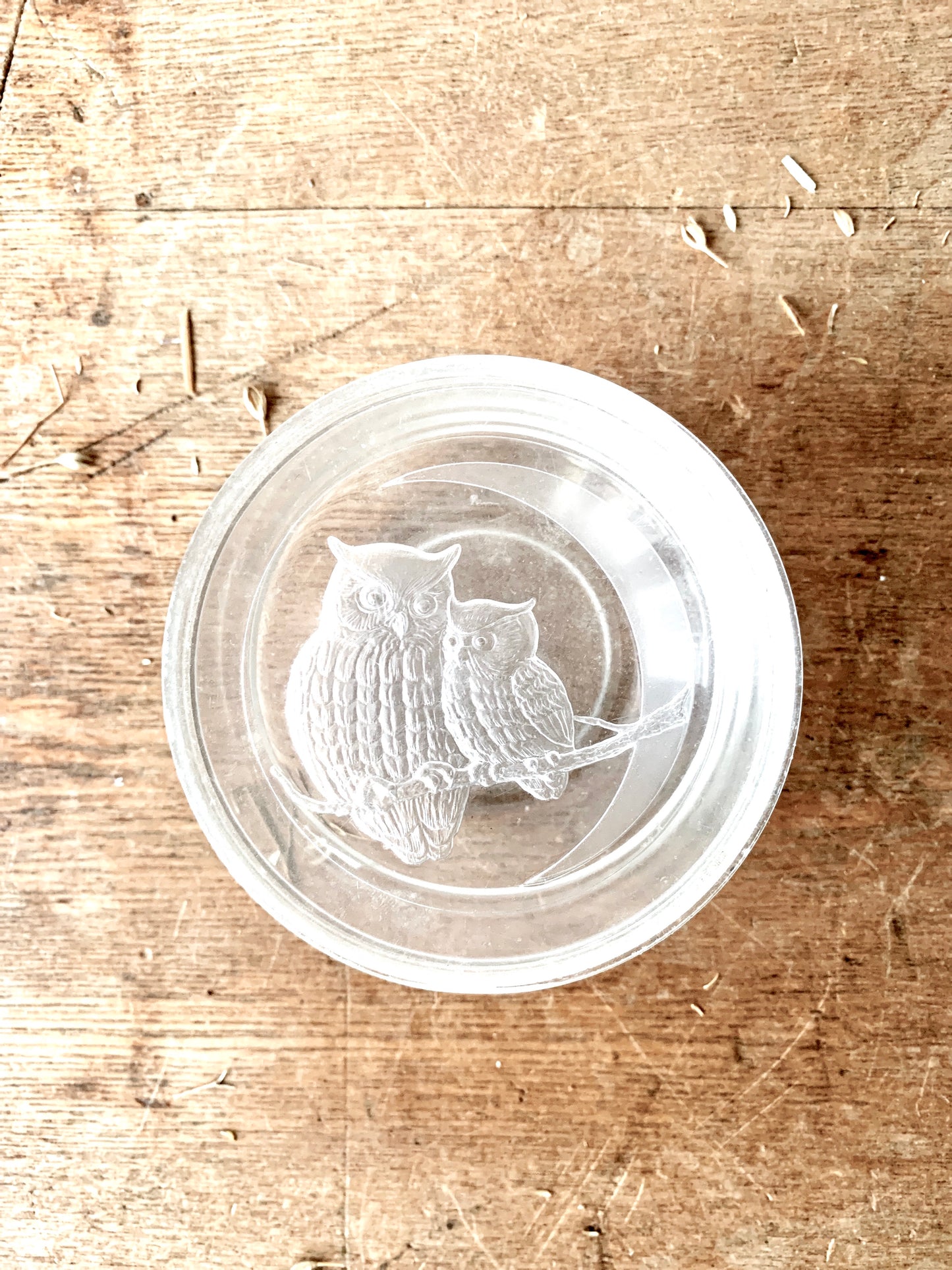 Vintage Lucite Owl Box