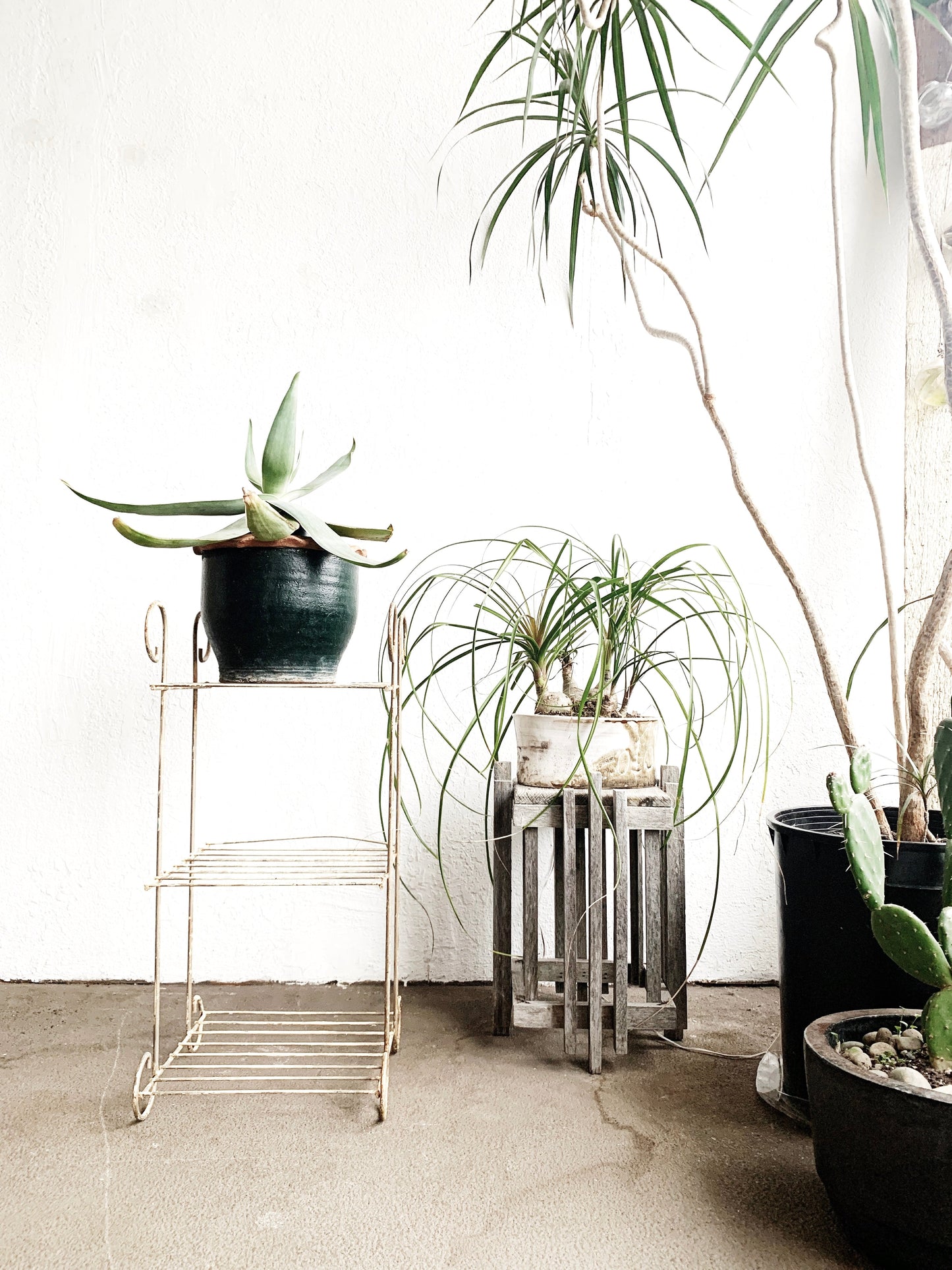 Mid Century Iron Plant Stand